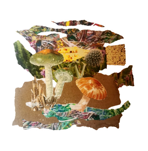 Original collage kunst mixed - original,