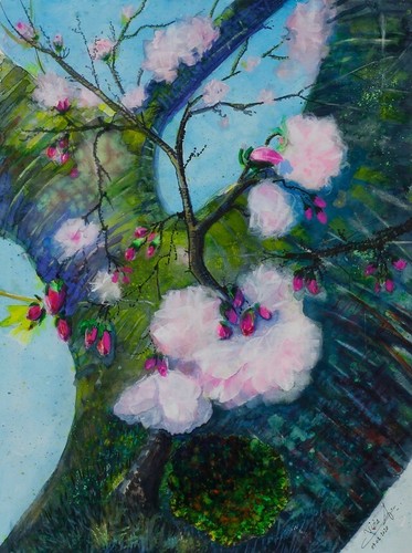 Cherry blossom aquarell - cherry,